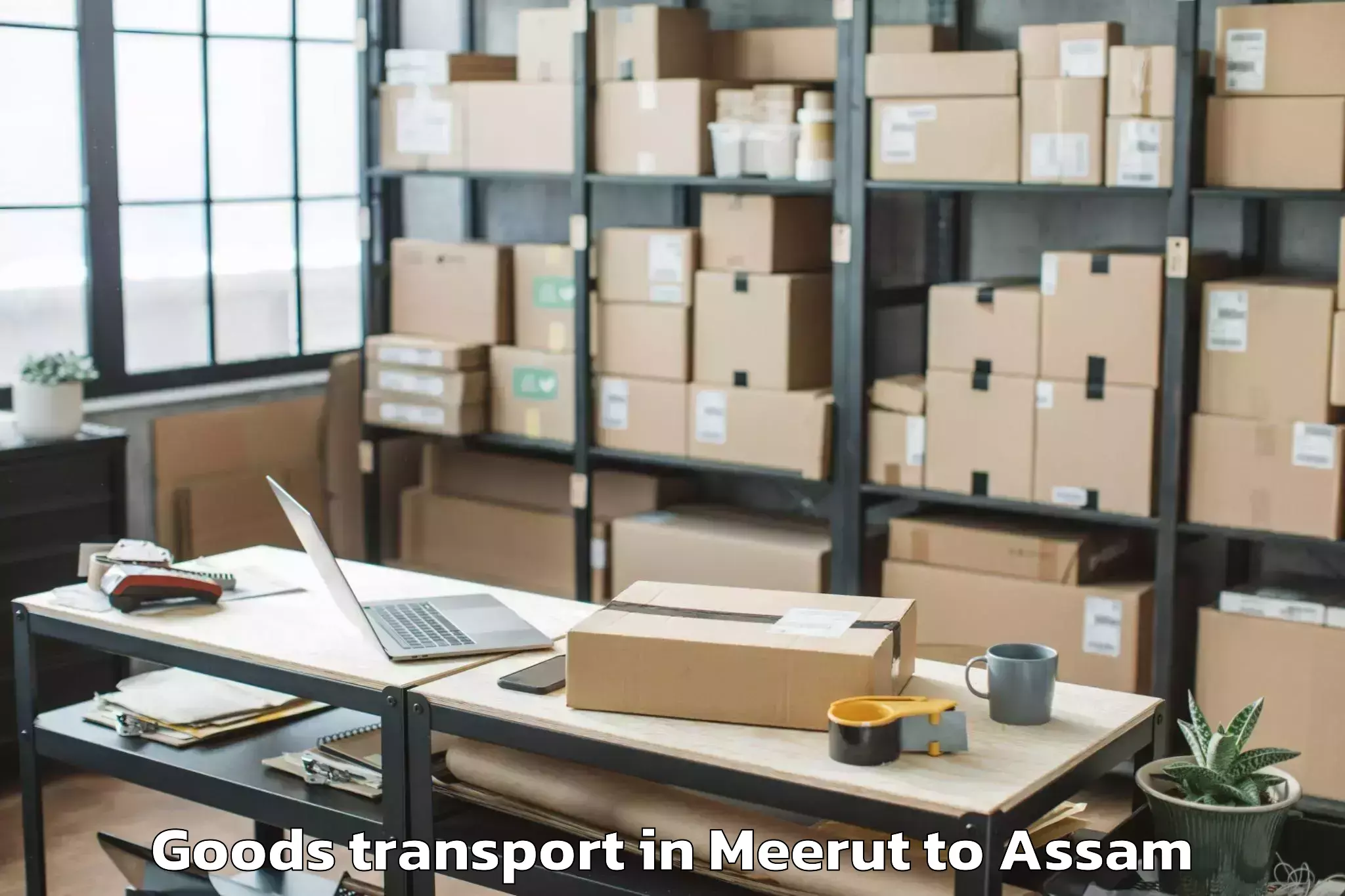 Top Meerut to Abhilashi University Silchar Goods Transport Available